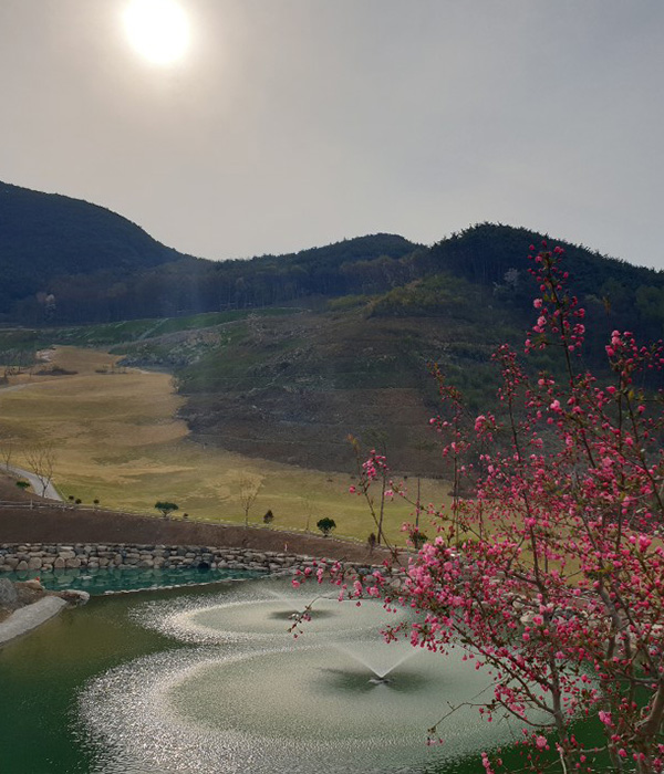 배경이미지16