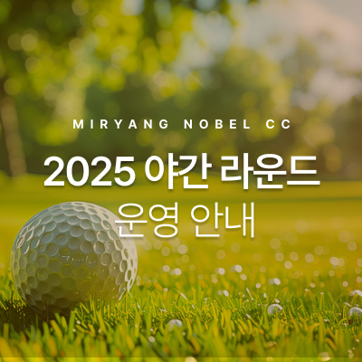 야간라운드